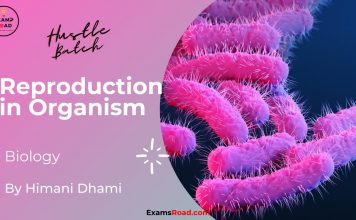 Reproduction in Organism Biology By Himani Mam (Hustle Batch) AIIMS NEET Reproduction in Organism Biology