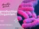 Reproduction in Organism Biology By Himani Mam (Hustle Batch) AIIMS NEET Reproduction in Organism Biology