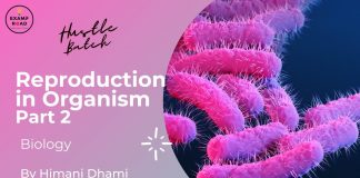 Reproduction in Organism Part 2 Biology By Himani Mam (Hustle Batch) AIIMS NEET