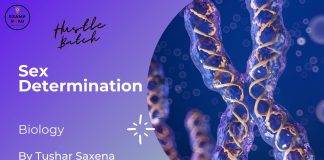 Sex Determination Biology By Tushar Sir (Hustle Batch) AIIMS NEET Medical Exams Sex Determination Biology