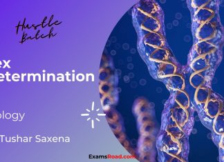 Sex Determination Biology By Tushar Sir (Hustle Batch) AIIMS NEET Medical Exams Sex Determination Biology