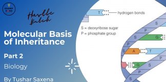 Molecular Basis of Inheritance Biology Part 2 Tushar Sir (Hustle Batch) AIIMS NEET Medical Exams Molecular Basis of Inheritance Biology
