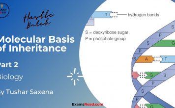 Molecular Basis of Inheritance Biology Part 2 Tushar Sir (Hustle Batch) AIIMS NEET Medical Exams Molecular Basis of Inheritance Biology