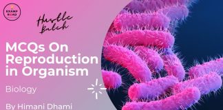 MCQs on Reproduction in Organism Biology By Himani Mam (Hustle Batch) AIIMS NEET MCQs on Reproduction in Organism