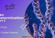 Sex Determination Part 2 Biology By Tushar Sir (Hustle Batch) AIIMS NEET Medical Exams