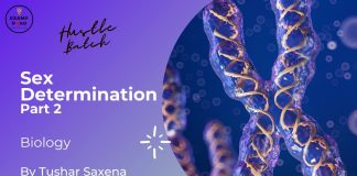 Sex Determination Part 2 Biology By Tushar Sir (Hustle Batch) AIIMS NEET Medical Exams
