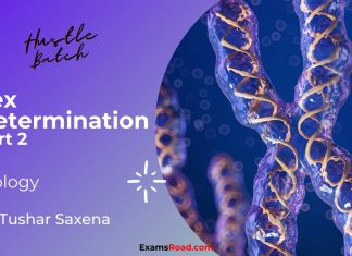 Sex Determination Part 2 Biology By Tushar Sir (Hustle Batch) AIIMS NEET Medical Exams