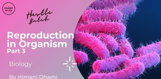 Reproduction in Organism Part 3 Biology By Himani Mam (Hustle Batch) AIIMS NEET Reproduction in Organism Part 3 Biology