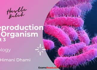 Reproduction in Organism Part 3 Biology By Himani Mam (Hustle Batch) AIIMS NEET Reproduction in Organism Part 3 Biology
