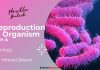 Reproduction in Organism Part 4 Biology By Himani Mam (Hustle Batch) AIIMS NEET Reproduction in Organism
