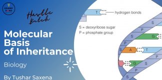 Molecular Basis of Inheritance Biology By Tushar Sir (Hustle Batch) AIIMS NEET Medical Exams Molecular Basis of Inheritance