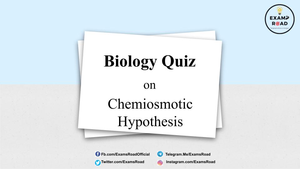 hypothesis biology quiz