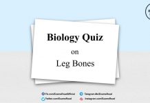 Biology Quiz on Leg Bones for NEET & Medical Exam 2021 Biology Quiz on Leg Bones
