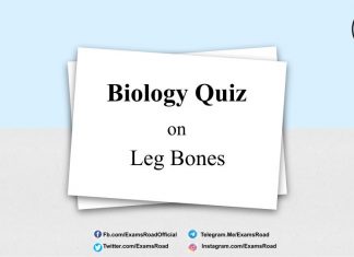 Biology Quiz on Leg Bones for NEET & Medical Exam 2021 Biology Quiz on Leg Bones