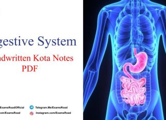 Digestive System Handwritten Kota Notes PDF Download – NEET & Medical Exam 2021 Digestive System Handwritten Kota Notes PDF