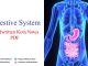Digestive System Handwritten Kota Notes PDF Download – NEET & Medical Exam 2021 Digestive System Handwritten Kota Notes PDF