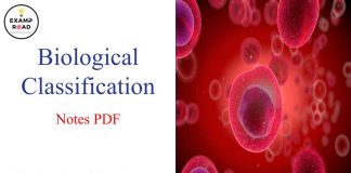 Biological Classification Notes PDF Download – NEET & Medical Exam 2021 Biological Classification Notes PDF
