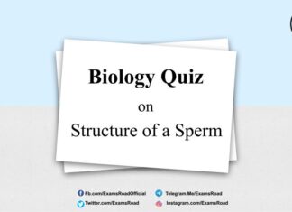 Biology Quiz on Structure of a Sperm for NEET & Medical Exam 2021 Biology Quiz on Structure of a Sperm