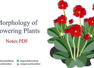 Morphology of Flowering Plants Notes PDF Download – NEET & Medical Exam 2021 Morphology of Flowering Plants Notes PDF