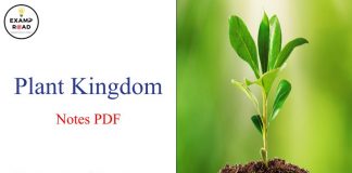 Plant Kingdom Notes PDF Download – NEET & Medical Exam 2021 Plant Kingdom Notes PDF