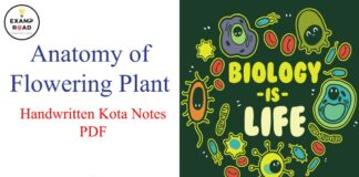 Anatomy of Flowering Plant Handwritten Kota Notes PDF Download – NEET & Medical Exam 2021 Anatomy of Flowering Plant Handwritten Kota Notes PDF