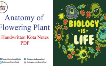 Anatomy of Flowering Plant Handwritten Kota Notes PDF Download – NEET & Medical Exam 2021 Anatomy of Flowering Plant Handwritten Kota Notes PDF