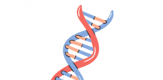 Biology Quiz & Mock Test Biology Quiz