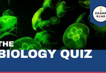 Anatomy of Flowering Plant Biology Quiz For NEET AIIMS & Medical Exams 2023