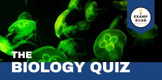 Anatomy of Flowering Plant Biology Quiz For NEET AIIMS & Medical Exams 2023