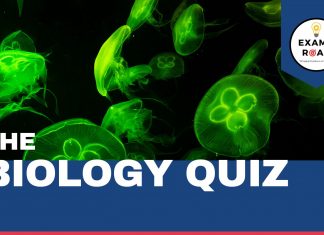Anatomy of Flowering Plant Biology Quiz For NEET AIIMS & Medical Exams 2023