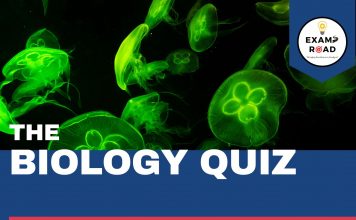 Anatomy of Flowering Plant Biology Quiz For NEET AIIMS & Medical Exams 2023